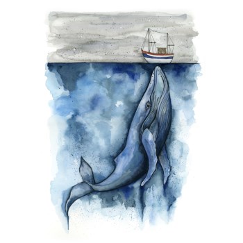 Wondrous whale A2 framed mounted print
