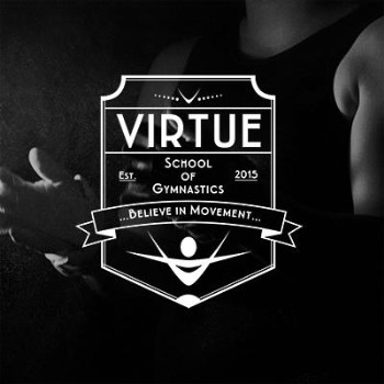 Virtue Gymnastics and Parkour Party for 24 children