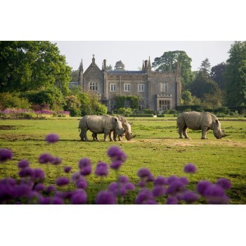 1 adult and 1 child ticket to Cotswold Wildlife Park