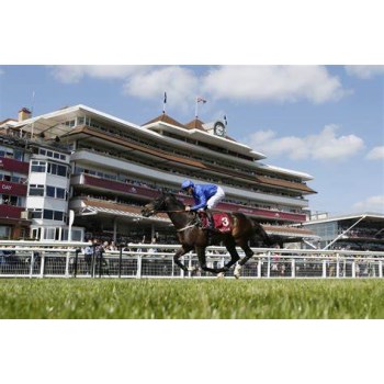 Newbury Racecourse Premier Tickets