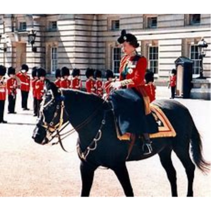 Side Saddle Lesson