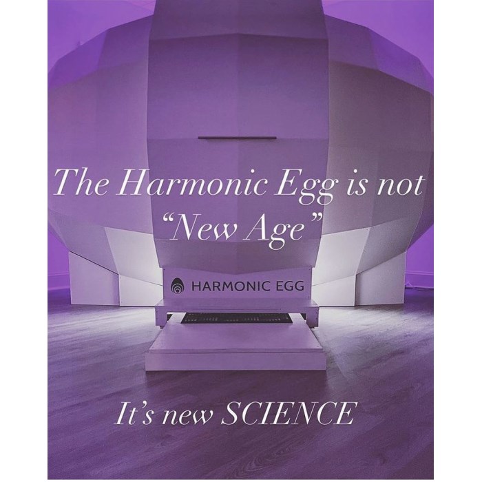 A session in The Harmonic Egg