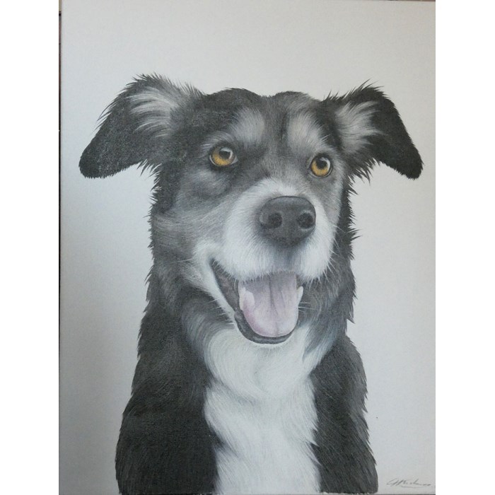 Lot 11 Lucy Tidbury: Man`s Best Friend!