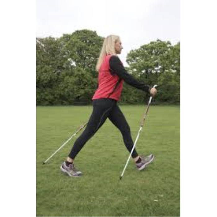 Nordic Walking Taster Session
