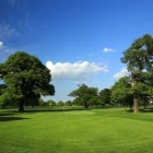 THONOCK PARK GC FOURBALL