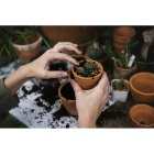 2 hours of gardening from a team of up to 4 Holy Gardeners