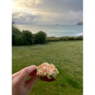 Seafood extravaganza