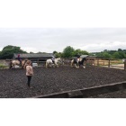 Wildwoods Riding Centre - 30 minute pony ride